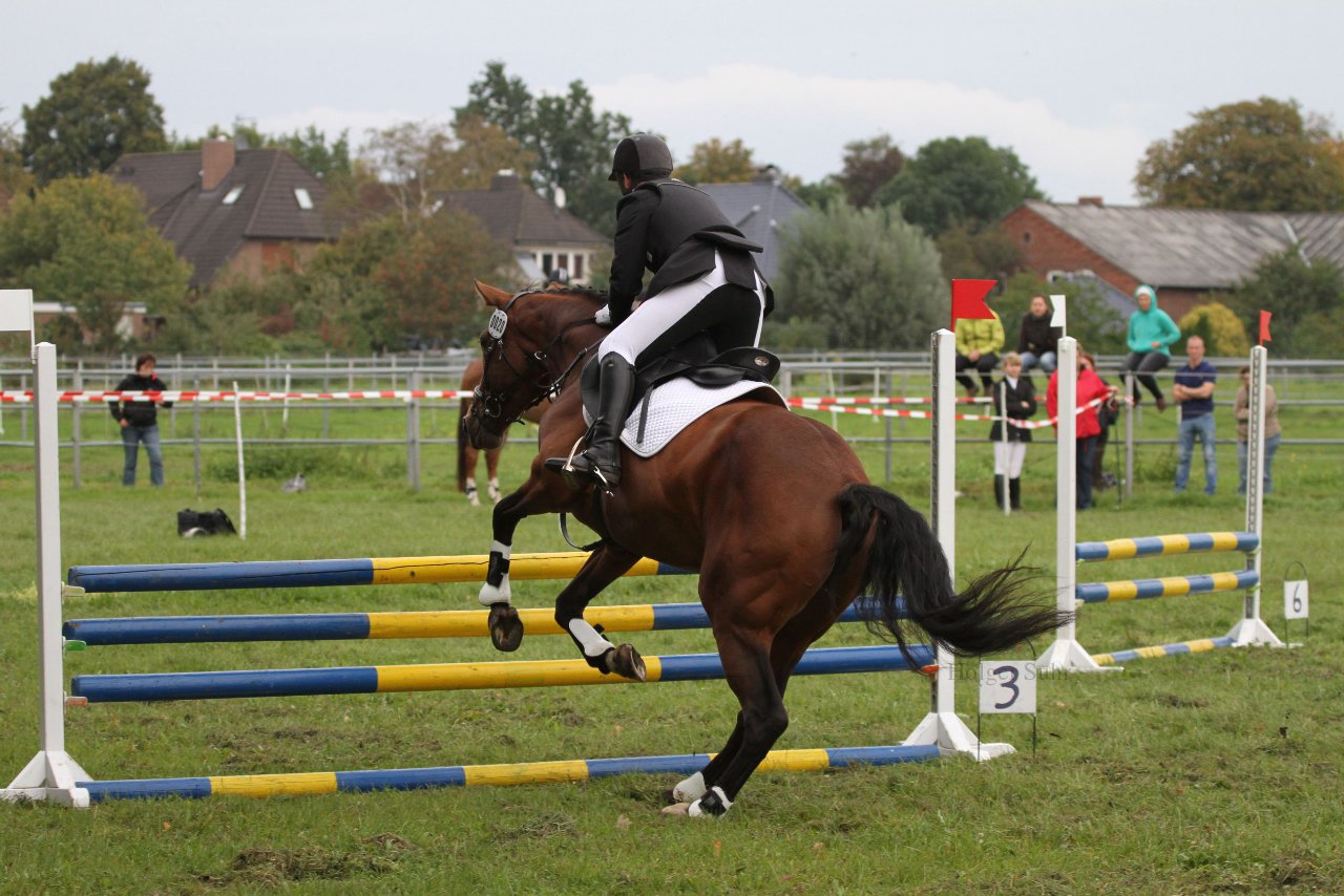 Bild 1445 - WBO-Turnier am 18.9.11